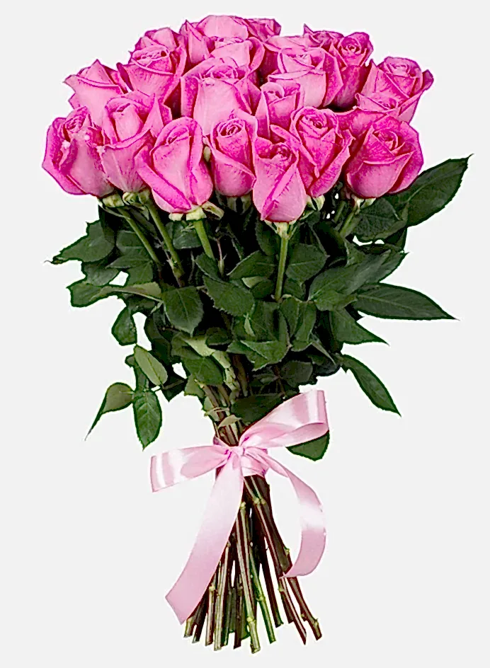 25 Pink Roses