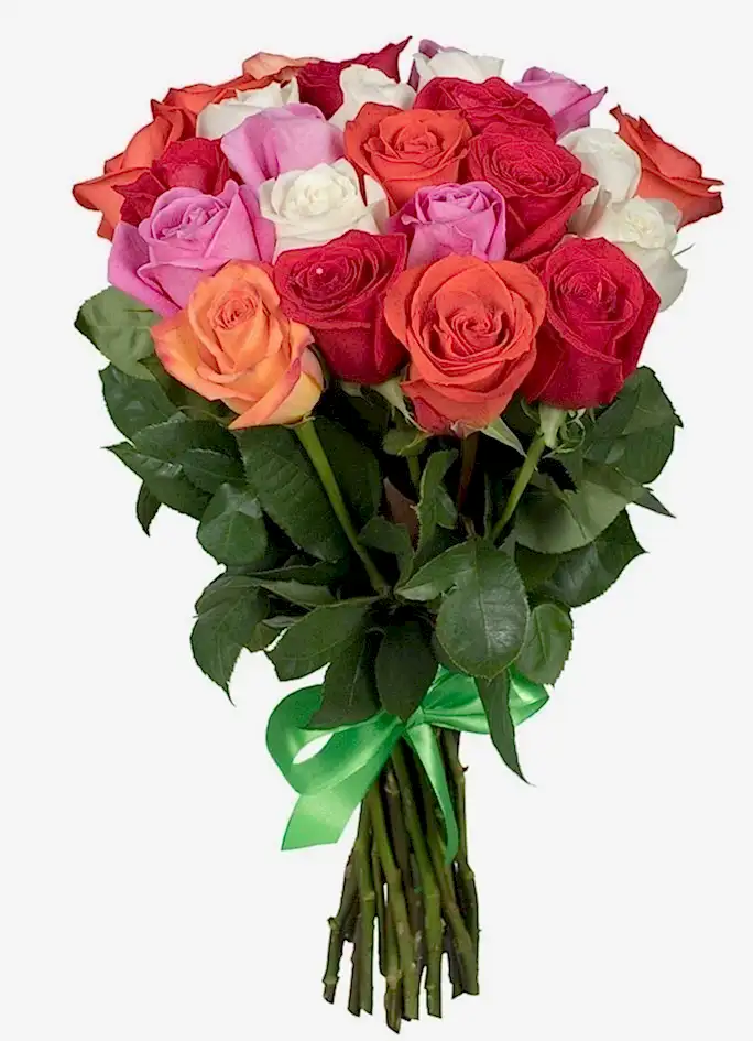 25 Rainbow Roses