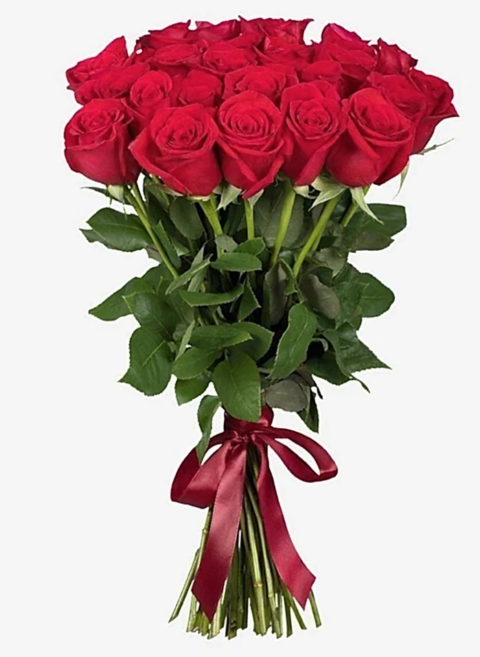 25 Red Roses