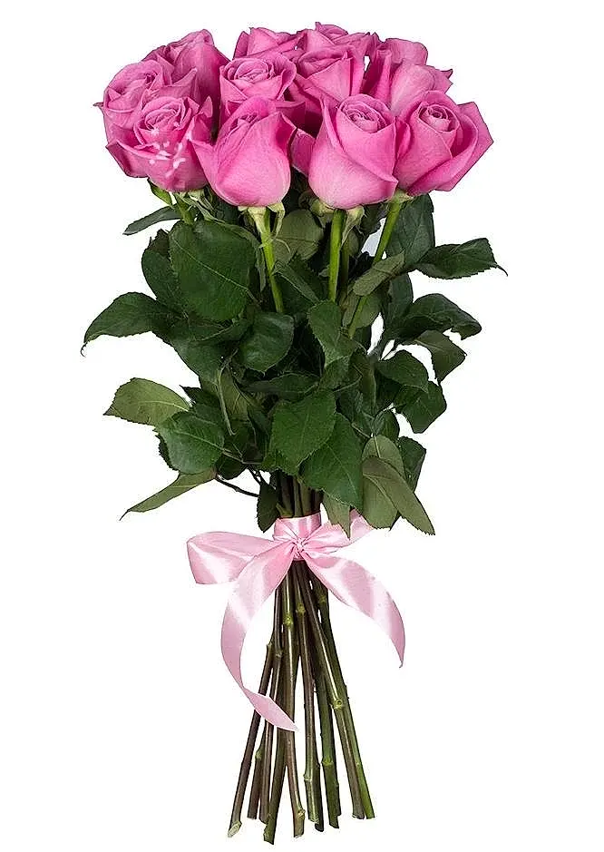 11 Pink Roses