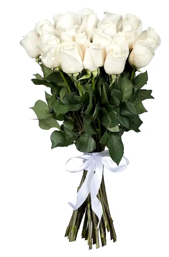 White Roses