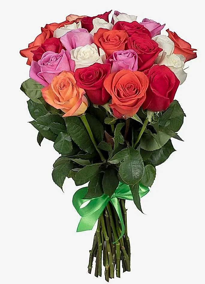 Rainbow Roses