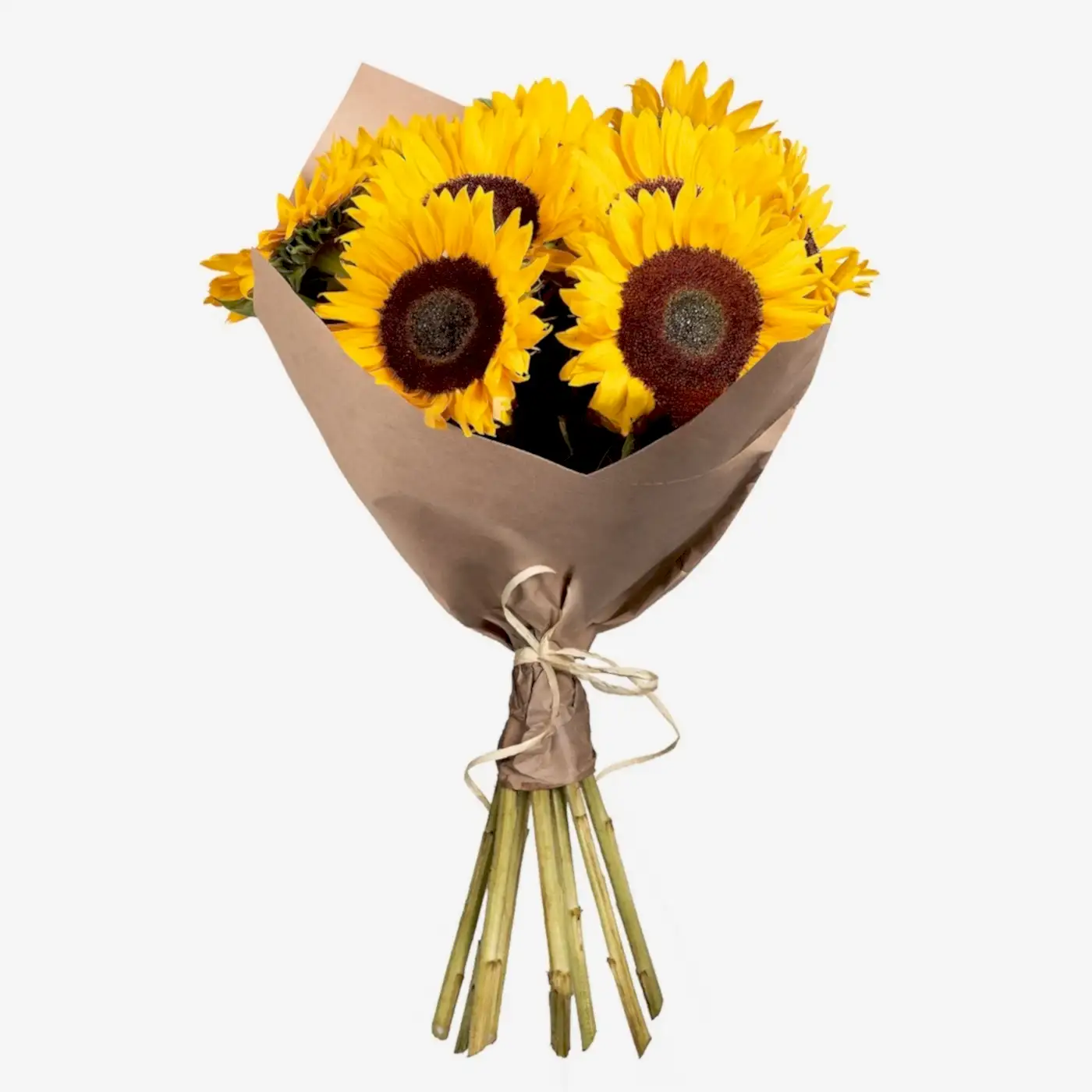 Bouquet of Sunflowers