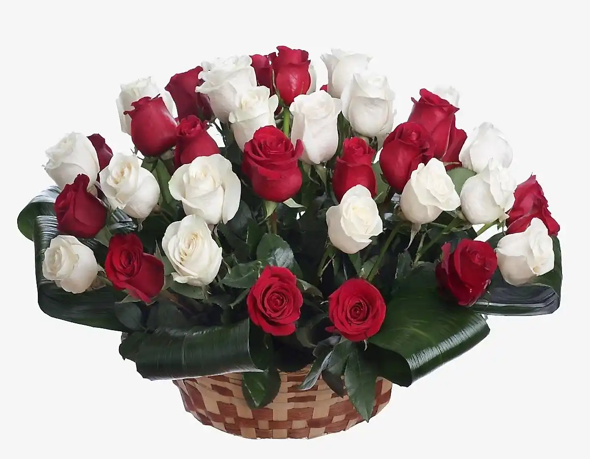 Red and White Roses Basket