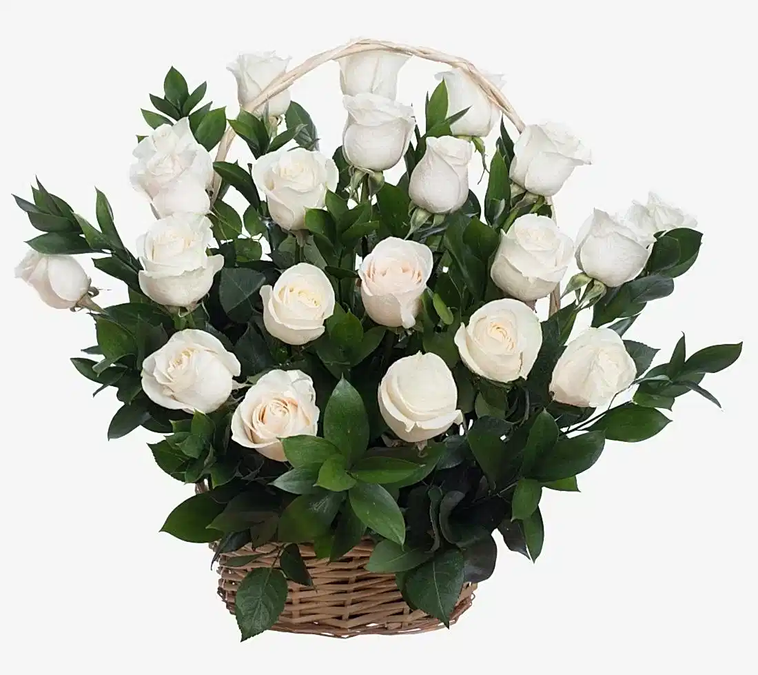 White Roses Basket