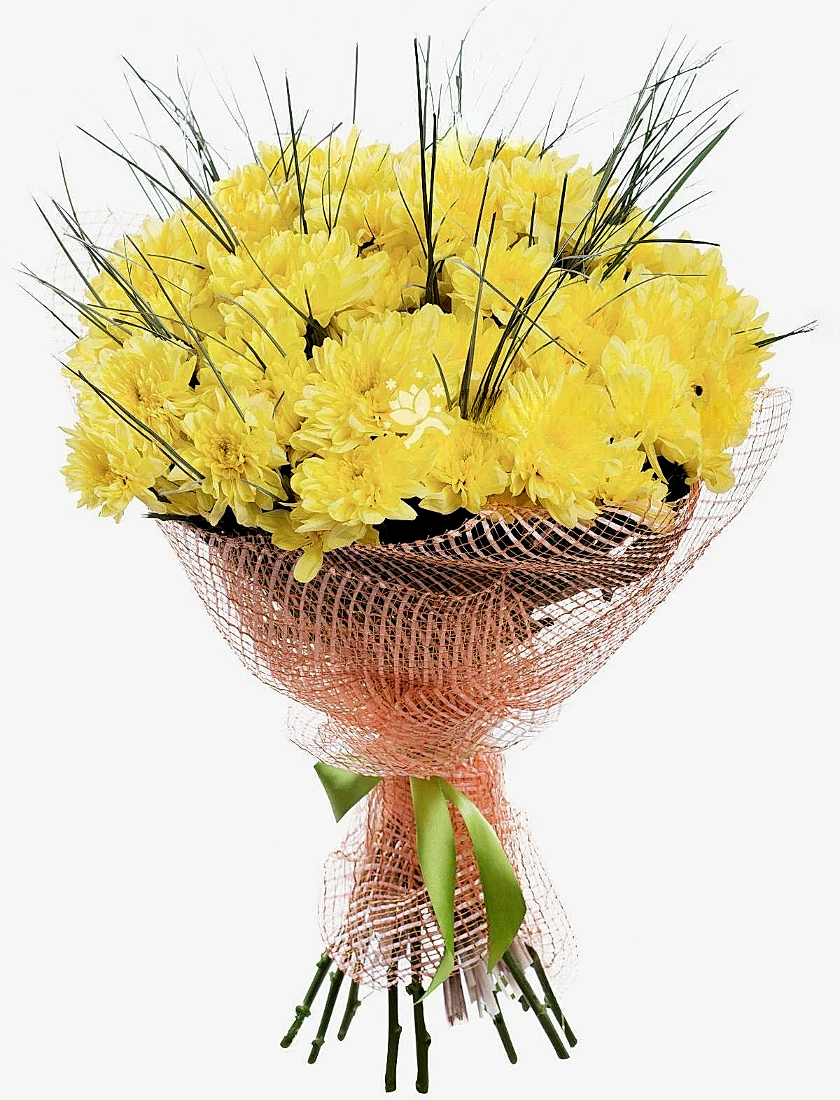 12 Yellow Сhrysanthemums