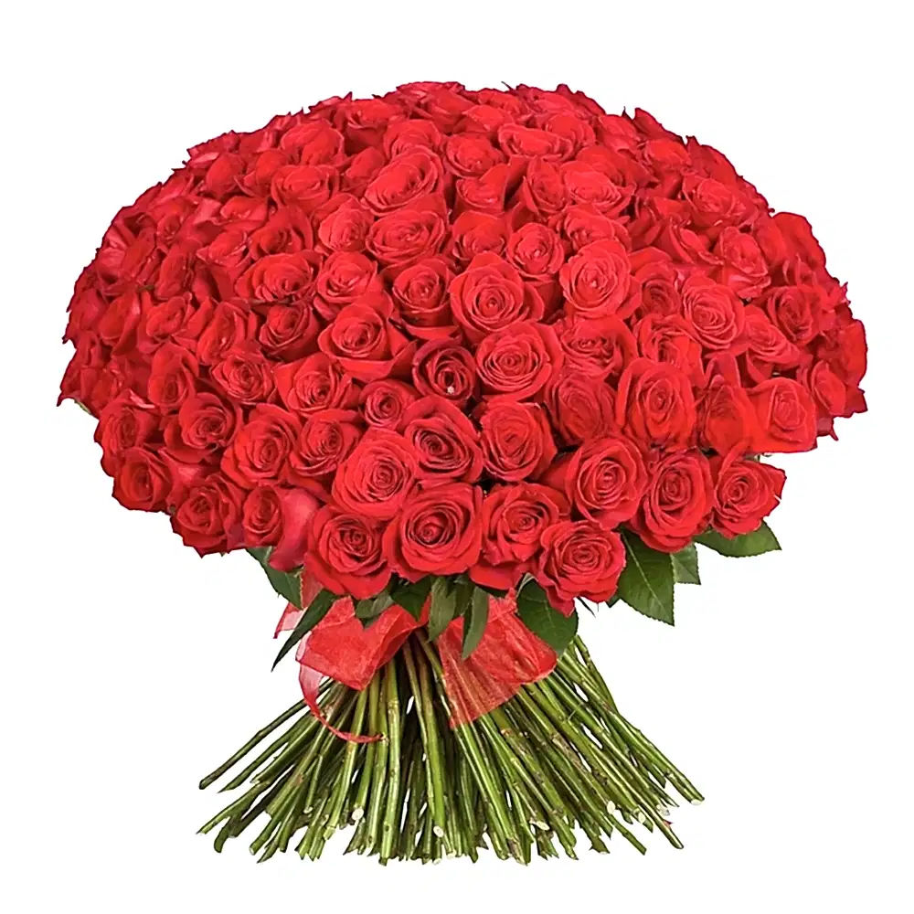 150 Red Roses